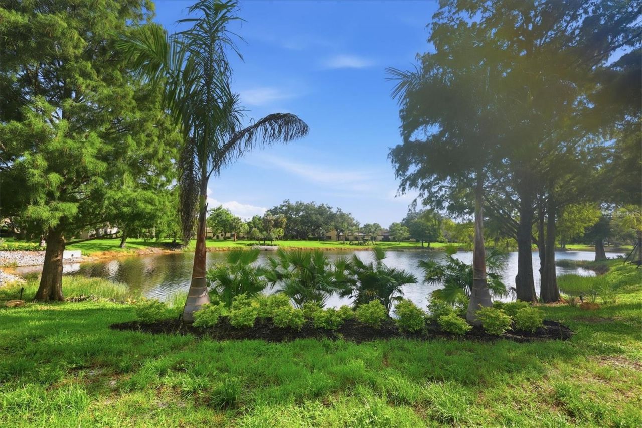 3615 Glen Oaks Manor Drive , Sarasota, FL 34232 Photo