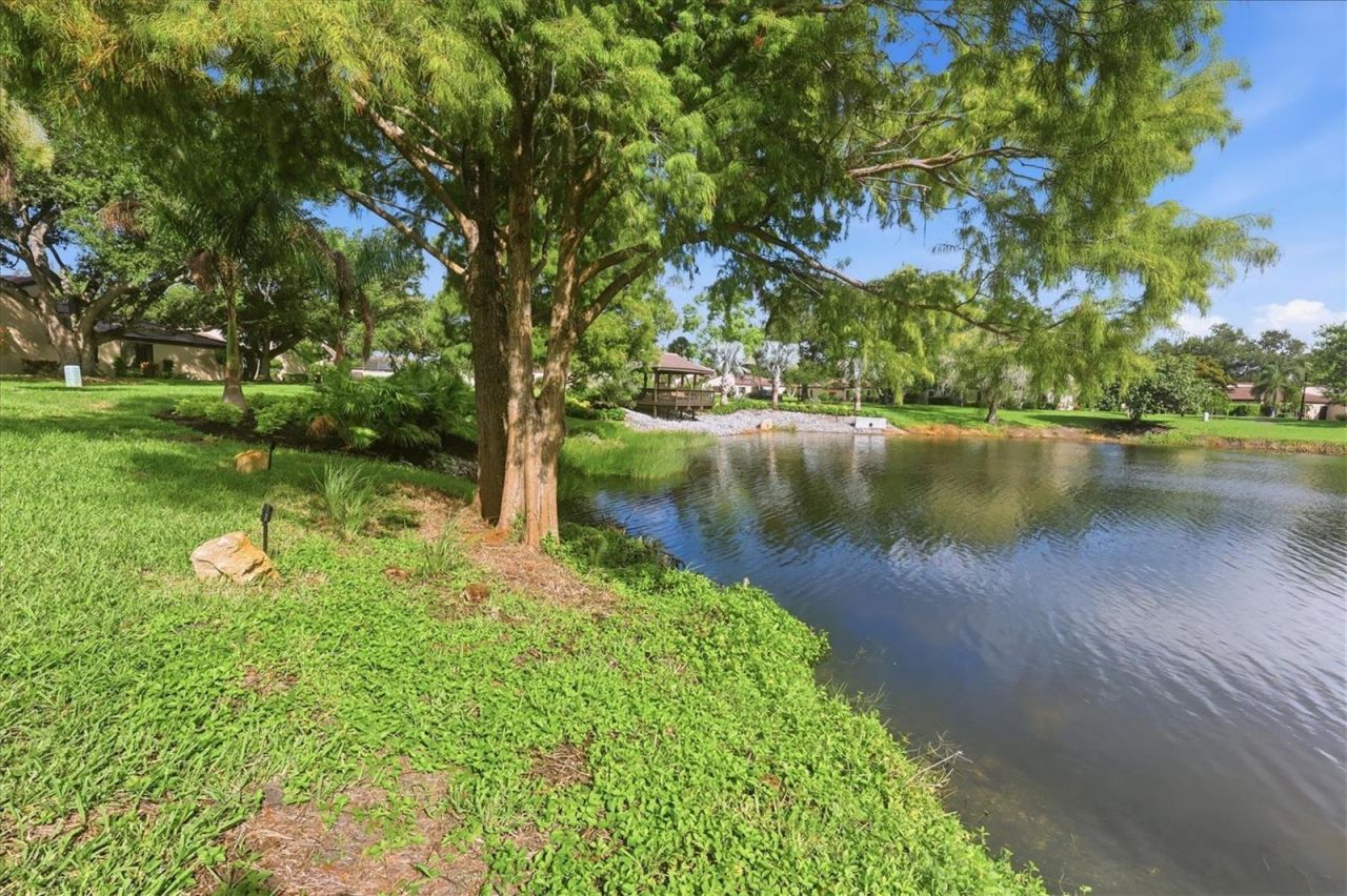 3615 Glen Oaks Manor Drive , Sarasota, FL 34232 Photo