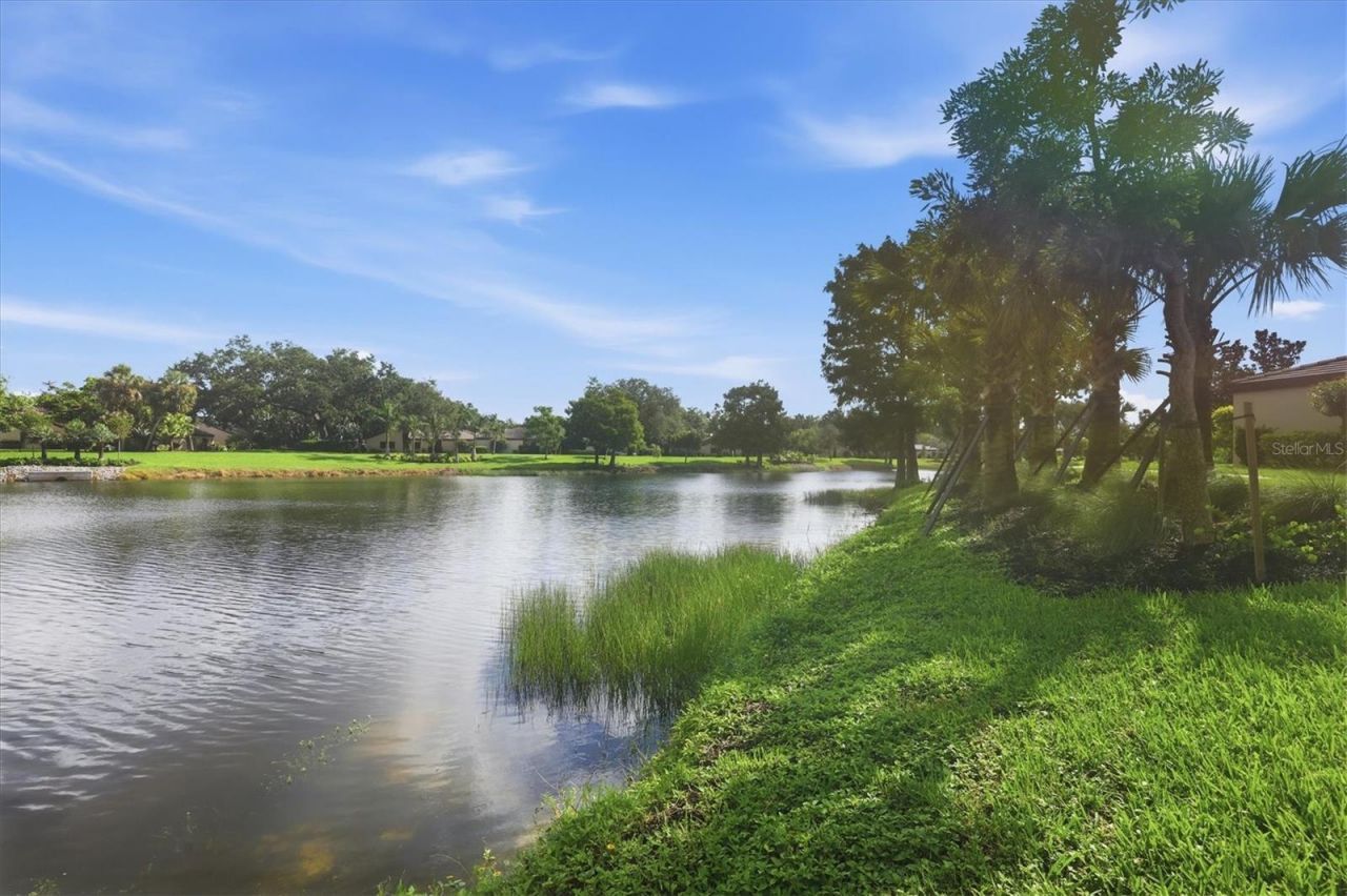3615 Glen Oaks Manor Drive , Sarasota, FL 34232 Photo