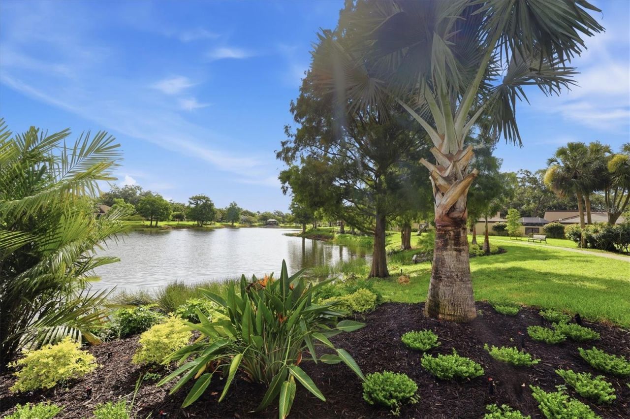 3615 Glen Oaks Manor Drive , Sarasota, FL 34232 Photo