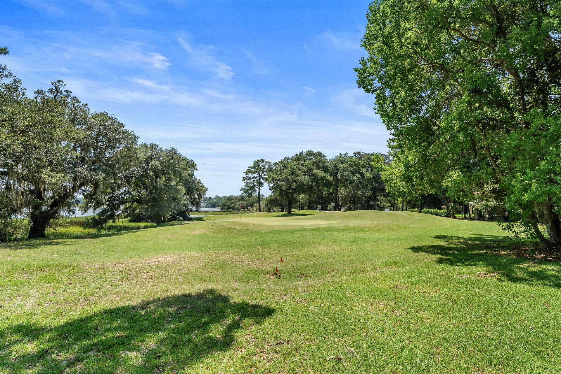5153 Old York Course Photo 101