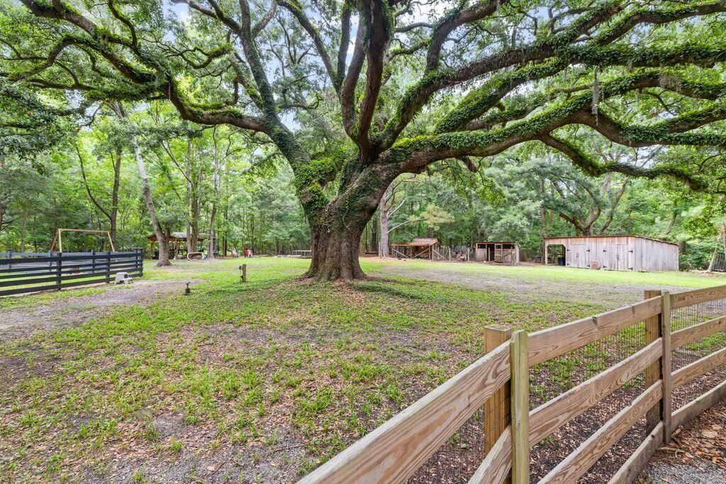 524 Lewis Lane Photo 6