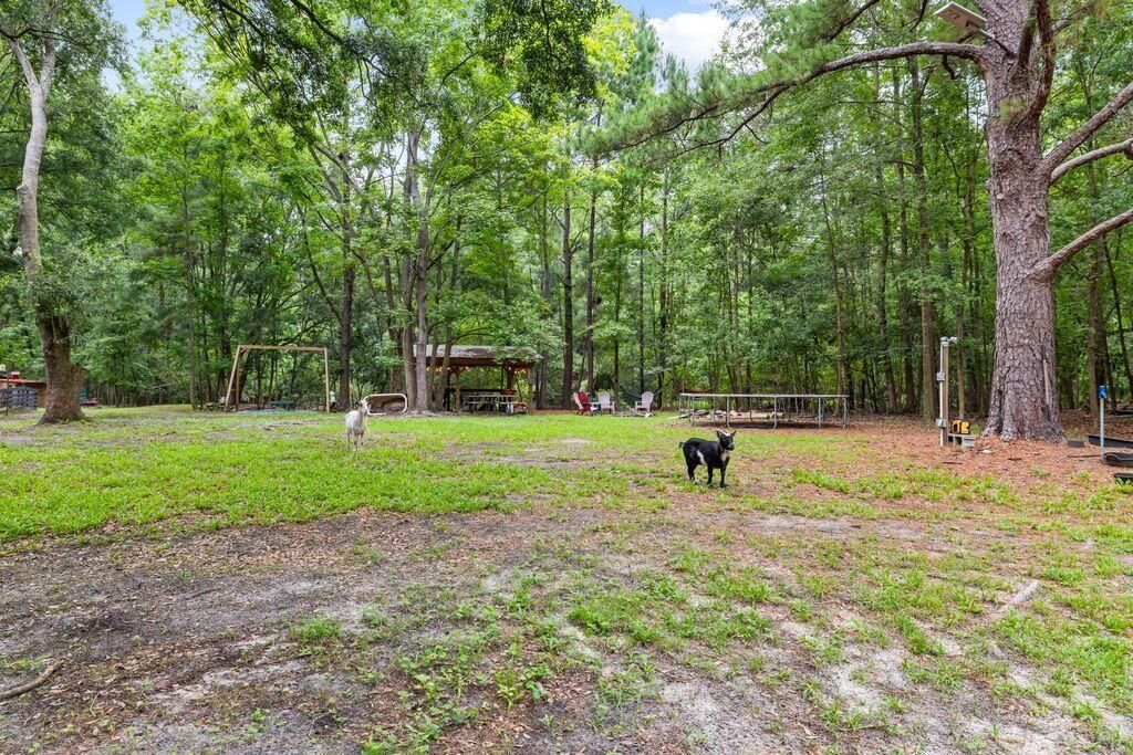 524 Lewis Lane Photo 68