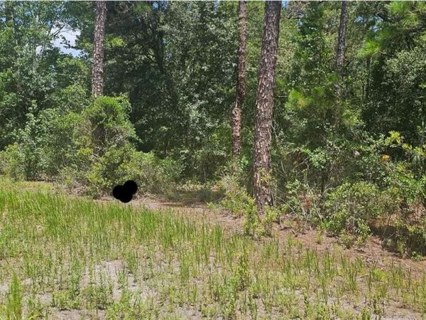 0 NE 132ND PL , CITRA, FL 32113