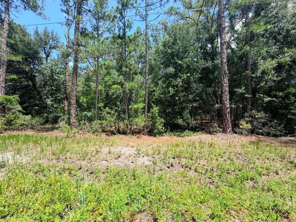 0 NE 132ND PL , CITRA, FL 32113