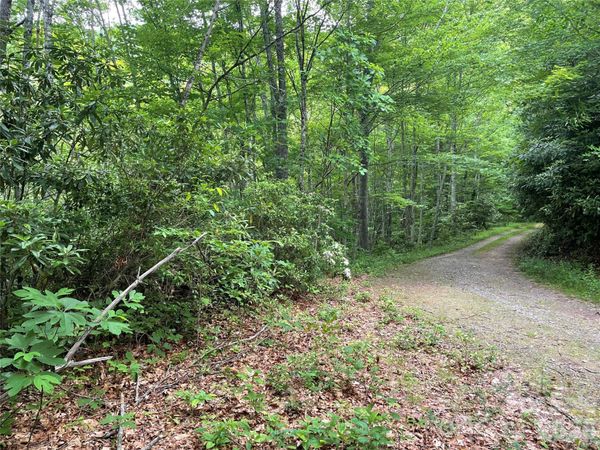 Lt 279 Cabin Flats Road , Balsam, NC 28707