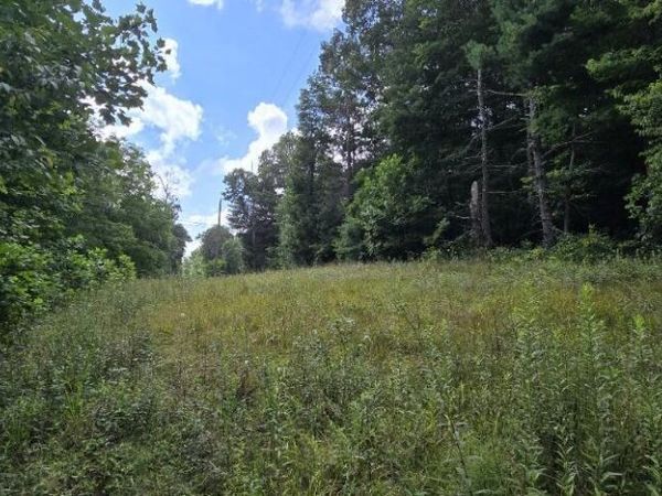 Honey Creek Loop Rd, Robbins, TN 37852