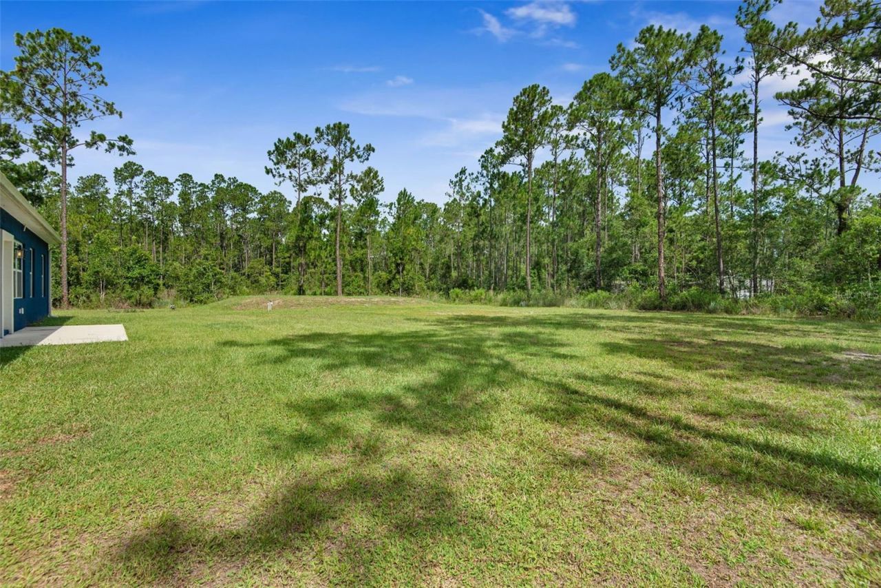 4220 Palatka Boulevard, Hastings, FL 32145 Photo