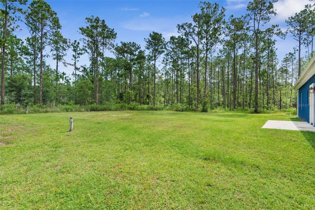 4220 Palatka Boulevard, Hastings, FL 32145 Photo