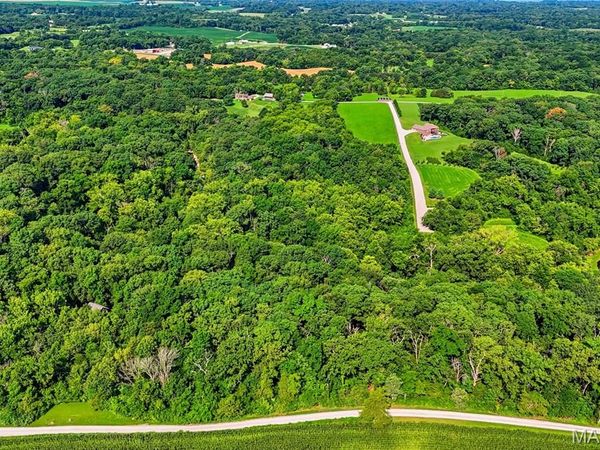 TBD Fountain Creek Ridge Lane, Center, IL 62298