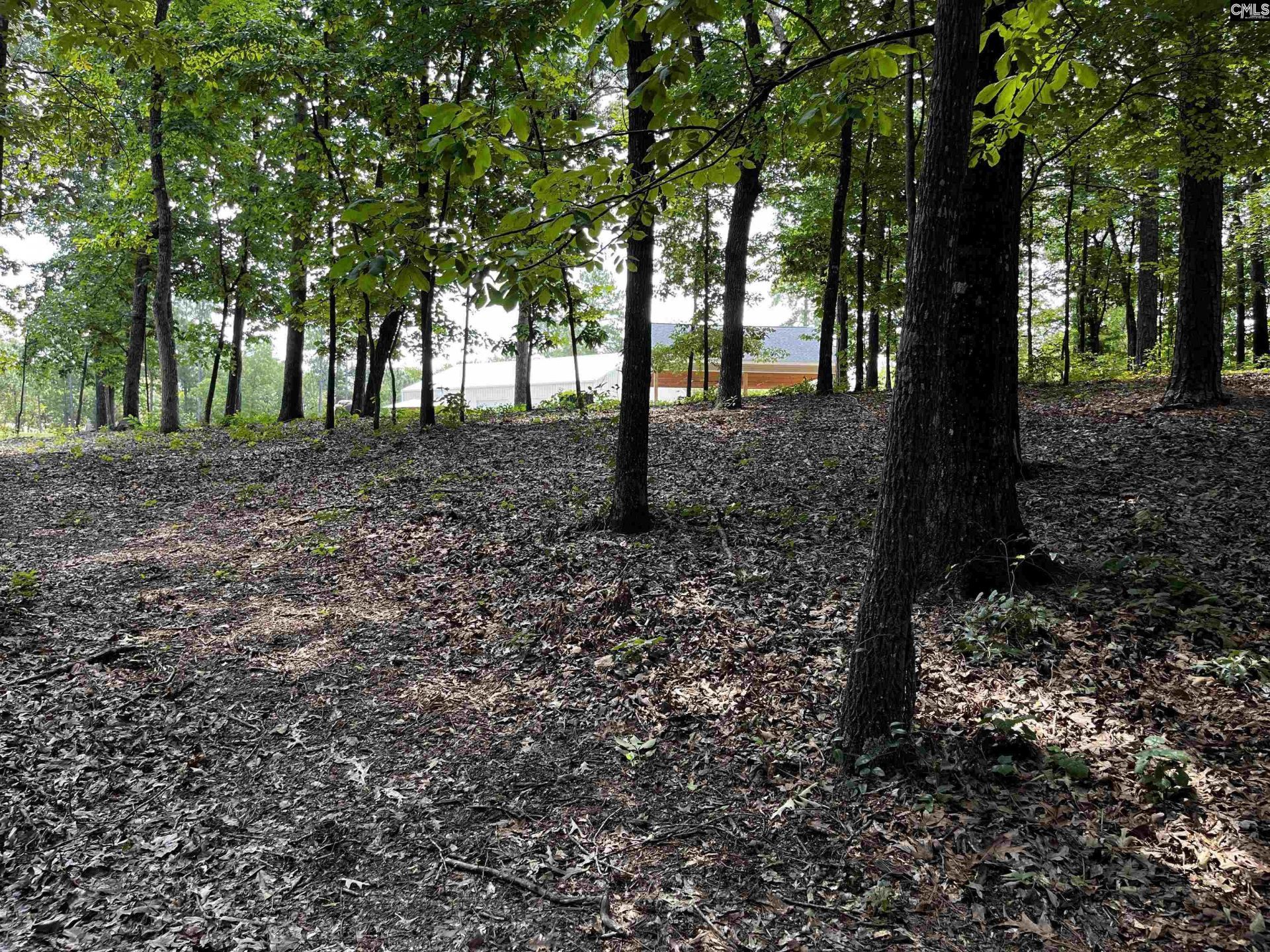 1448 Highway Church Road  Photo 11