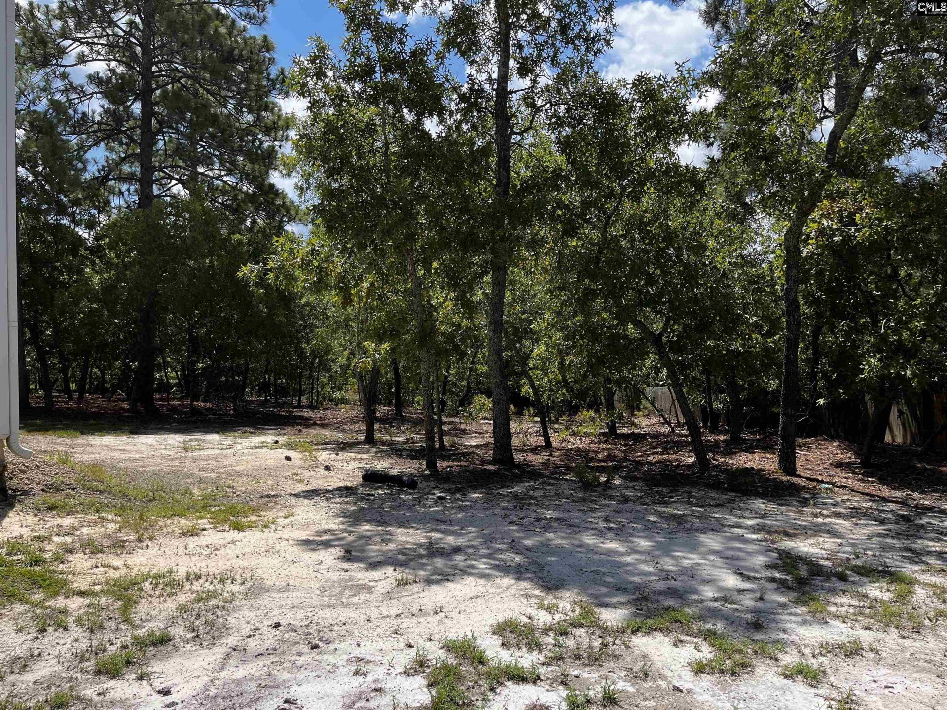 1448 Highway Church Road  Photo 7