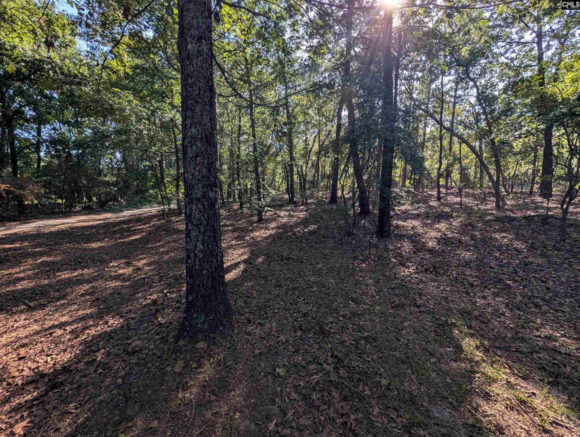 1498 Cassatt Road Photo 37
