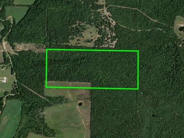 TBD CR 919 , Alpena, AR 72611