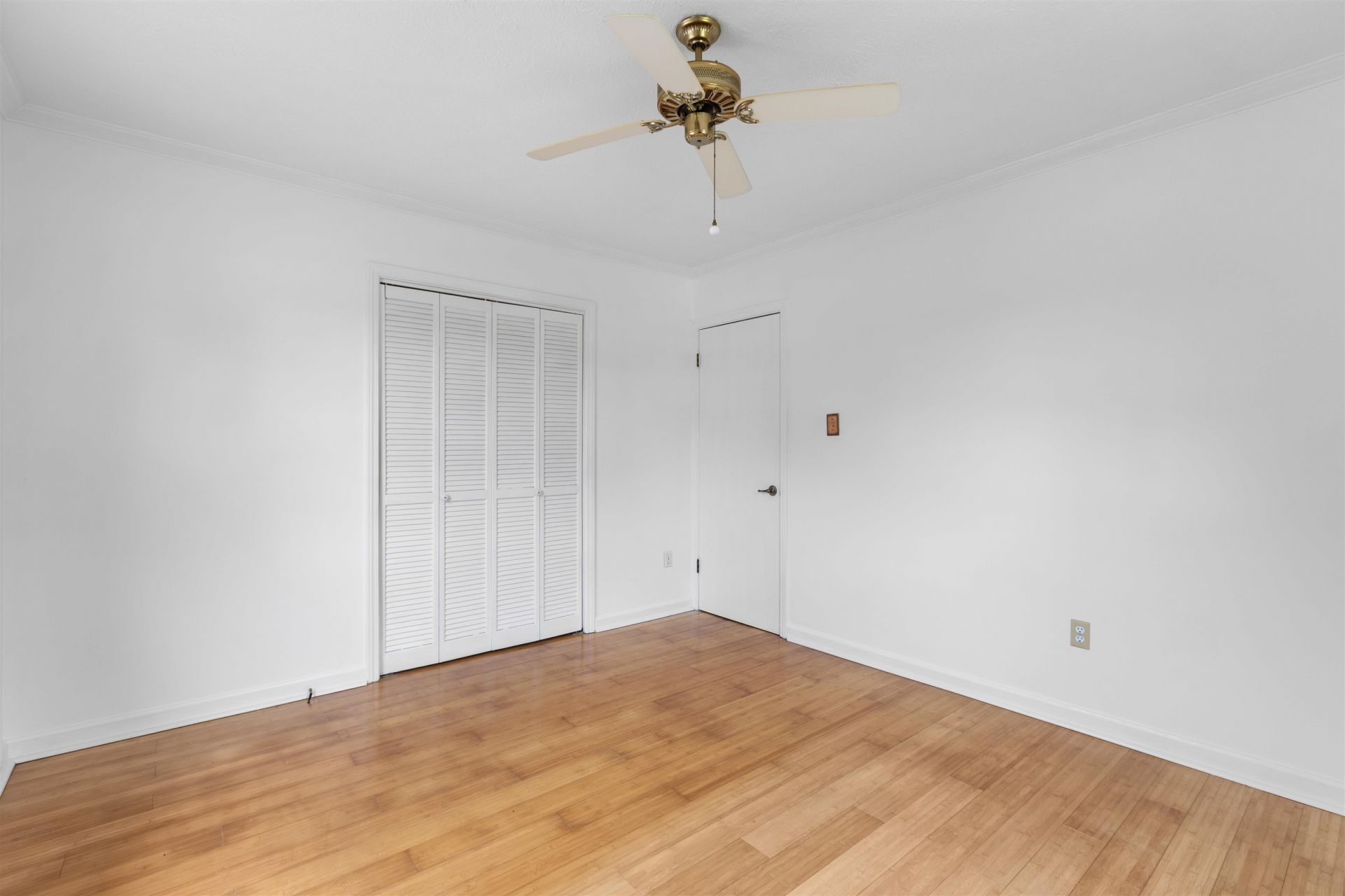 706 Thomas Ave. Photo 16