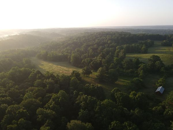 1 Shiloh Canaan Road , Palmyra, TN 37142