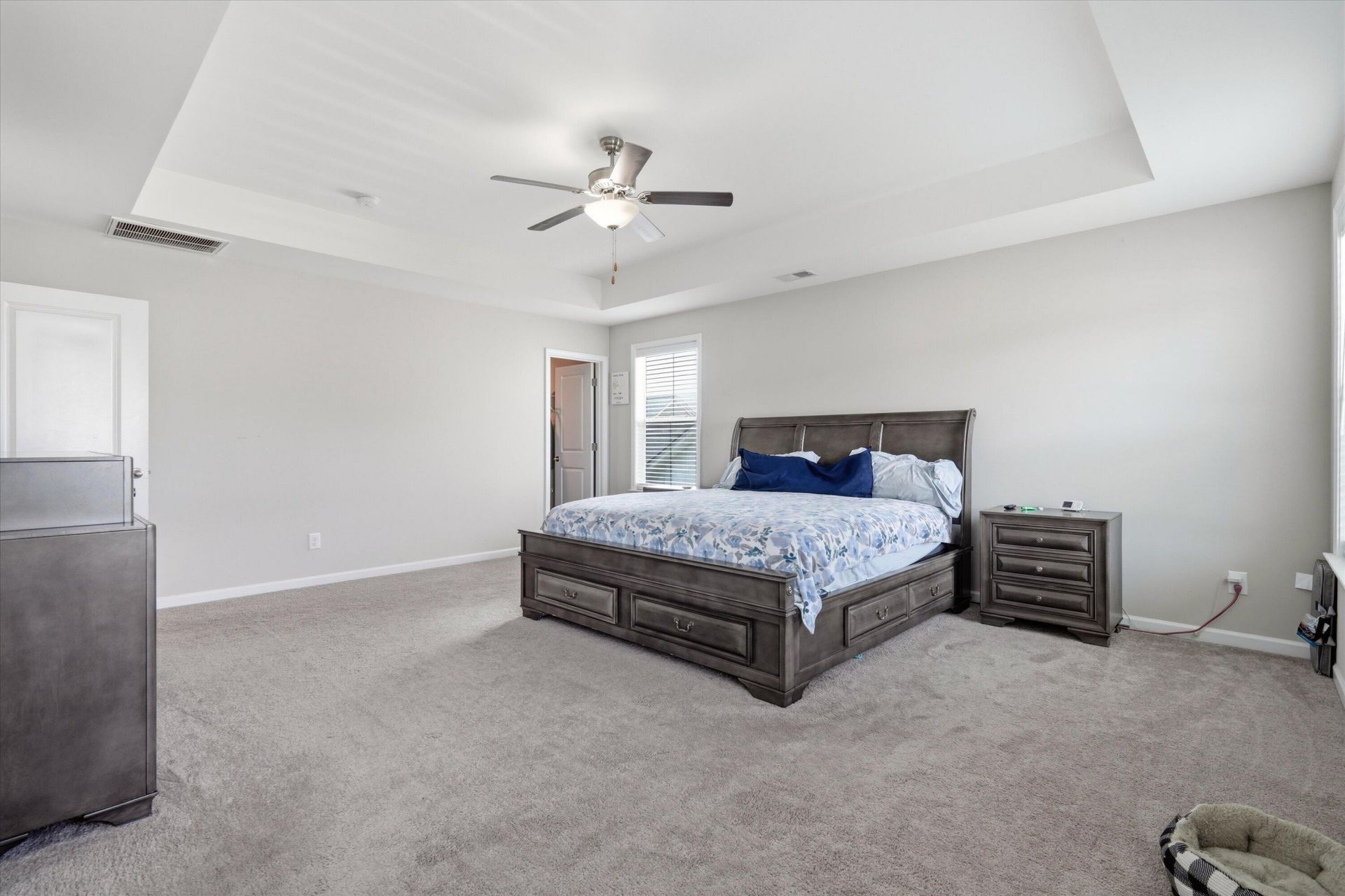 290 Red Leaf Boulevard Photo 39
