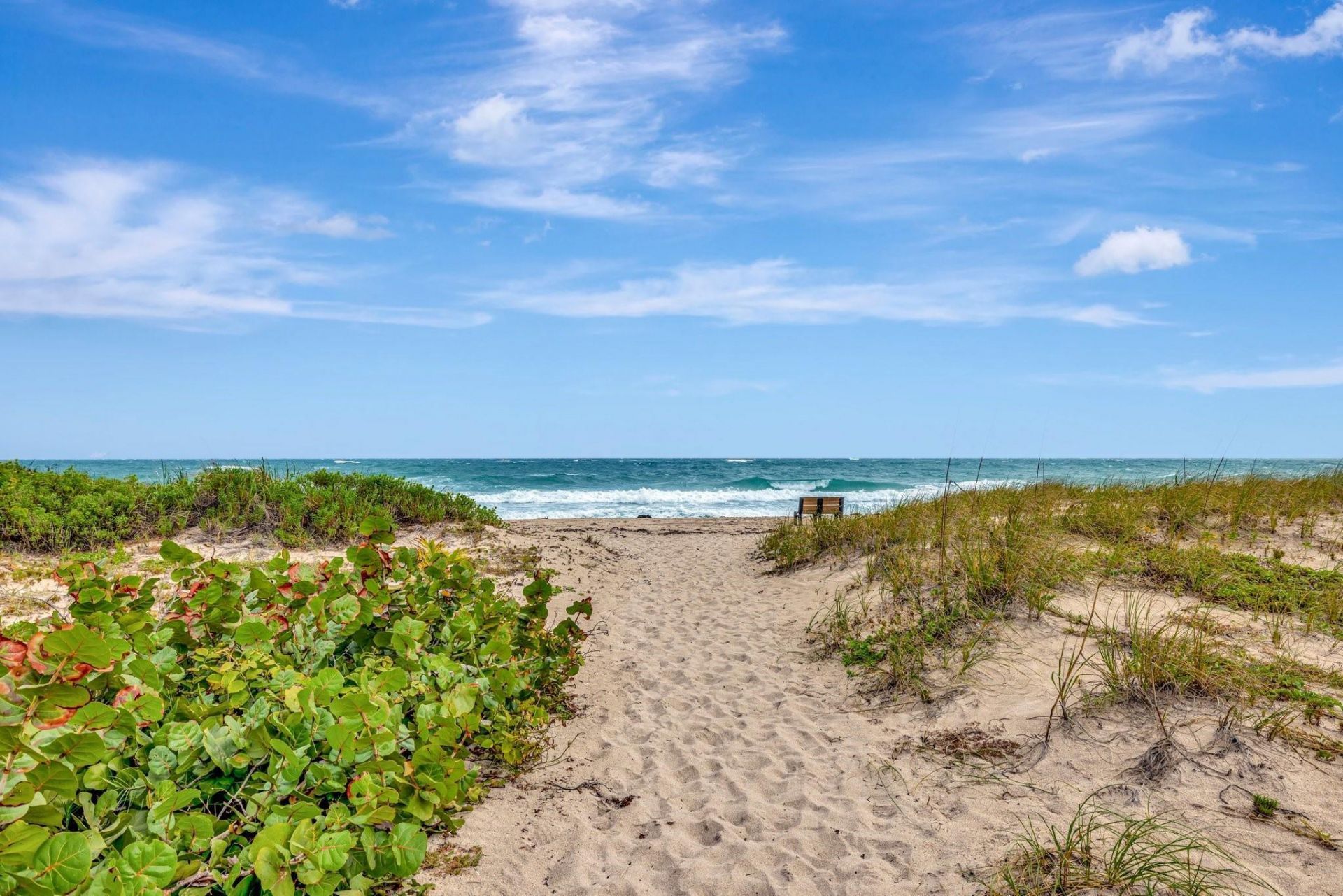 50 SE 12th Street, Unit 2260, Boca Raton, FL 33432 Photo