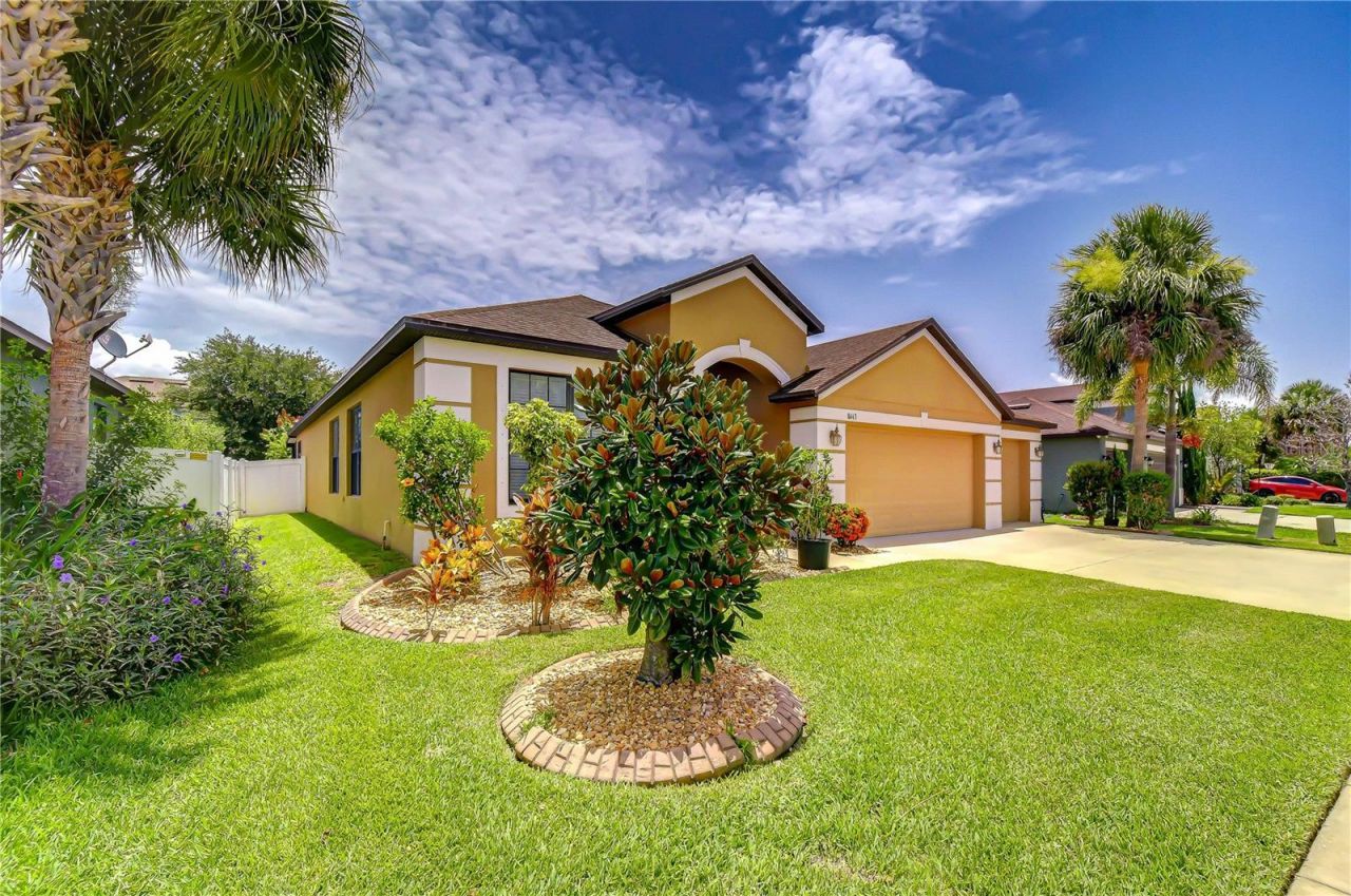 8443 White Poplar Drive , Riverview, FL 33578 Photo