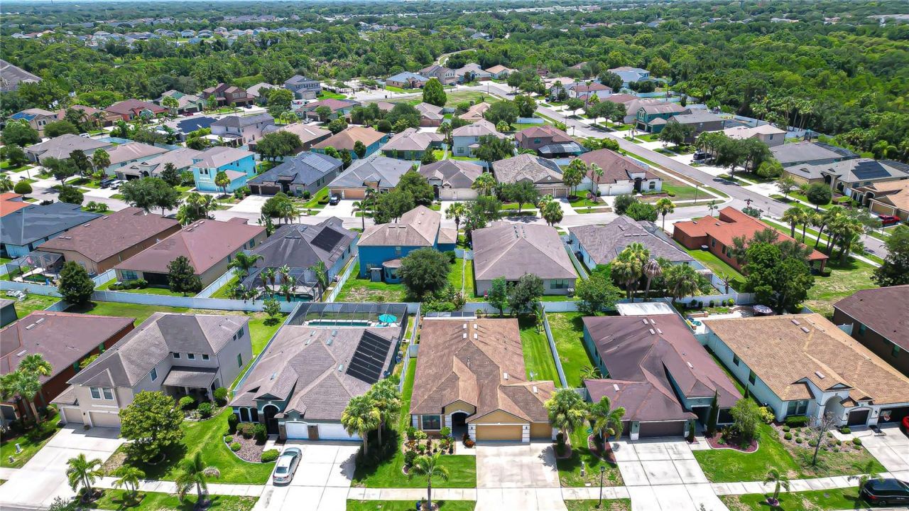 8443 White Poplar Drive , Riverview, FL 33578 Photo