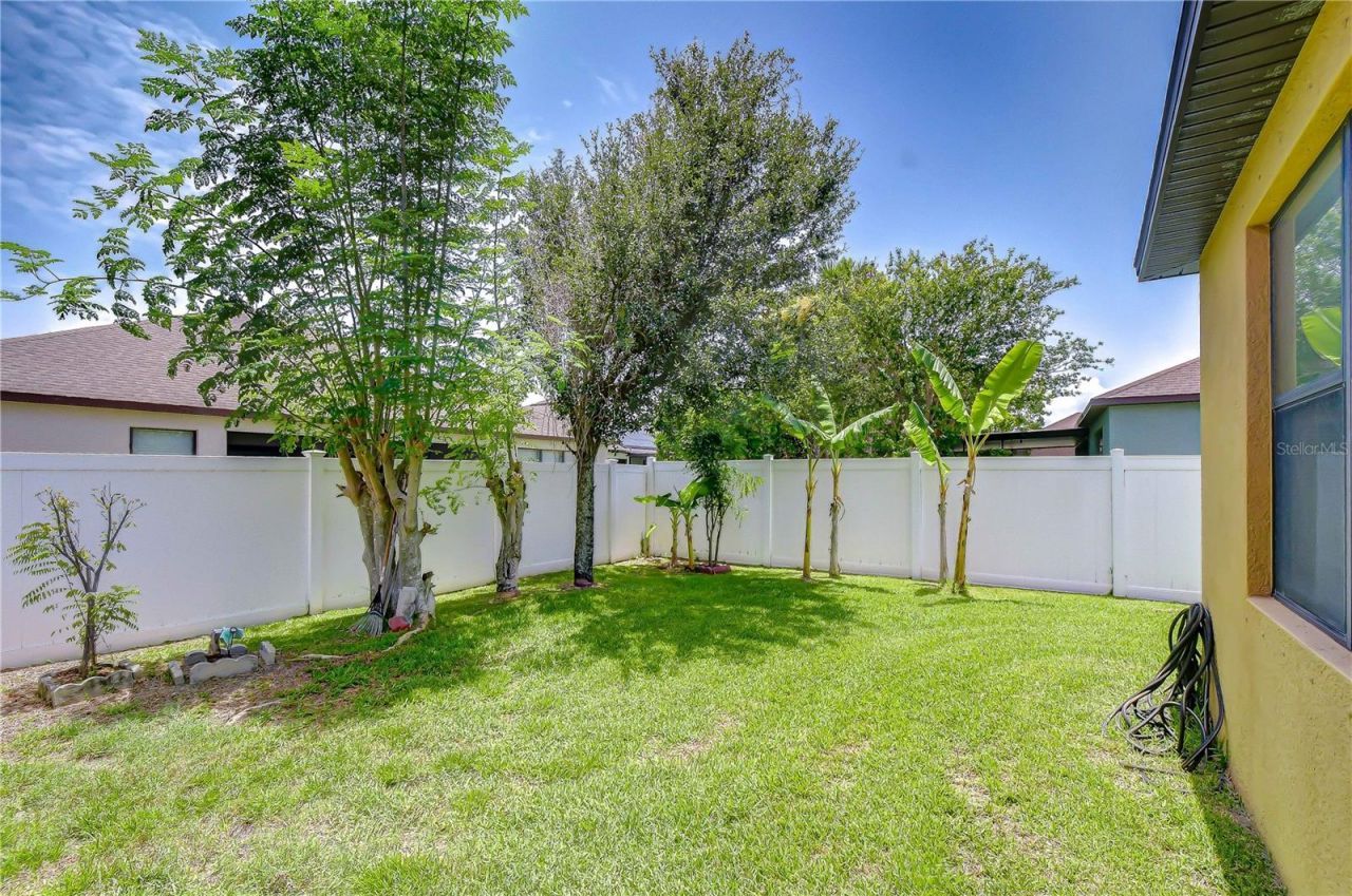 8443 White Poplar Drive , Riverview, FL 33578 Photo