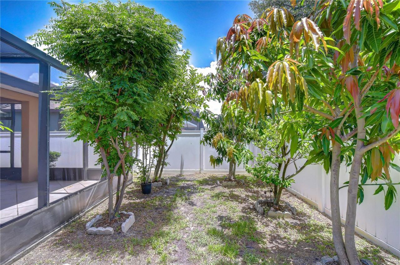 8443 White Poplar Drive , Riverview, FL 33578 Photo