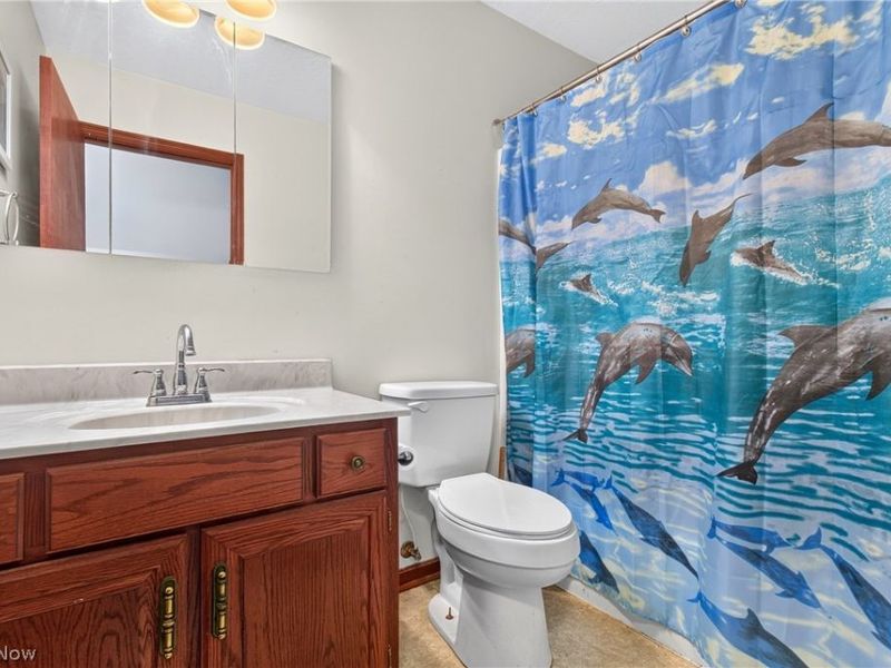 1302 Back Massillon Road, Orrville, OH 44667 Photo 19
