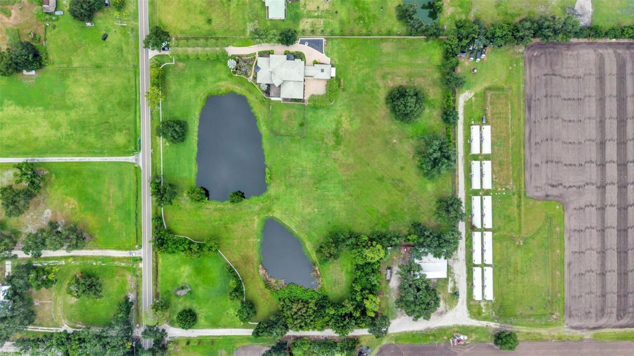 5503 Downing Street, Dover, FL 33527 Photo