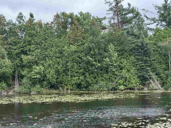 TBD Pickerel Lake Road, Petoskey, MI 49770