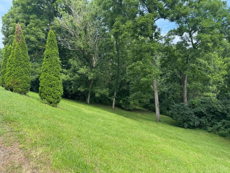5205 Belfast Owensville Road, Owensville, OH 45103 Photo 27