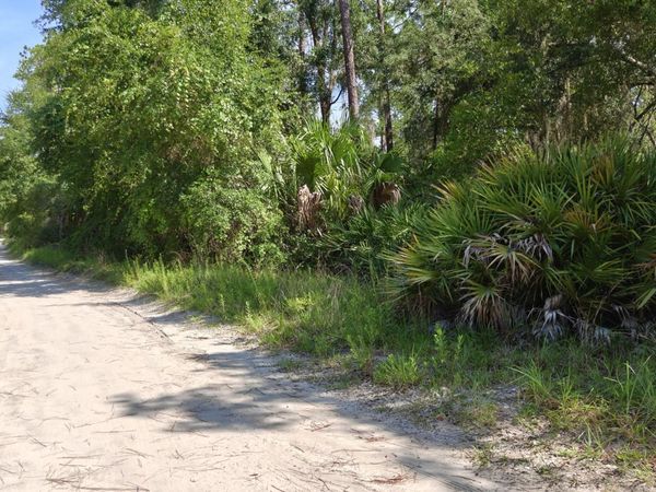 212 2nd Avenue, Satsuma, FL 32189