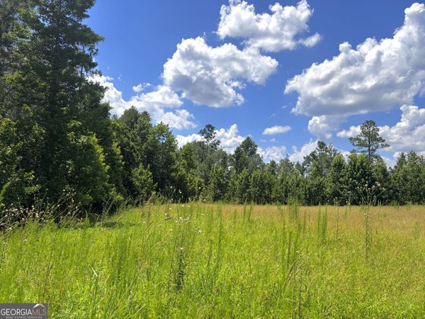 0 Ernest Carter Road, Hazlehurst, GA 31539