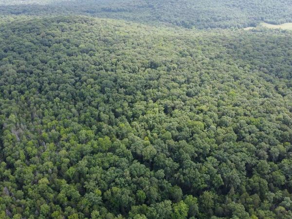 11 Acres Cathedral Caverns Highway, Woodville, AL 35776