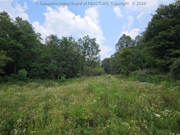 679 Burnems Run Road, Sandyville, WV 25275