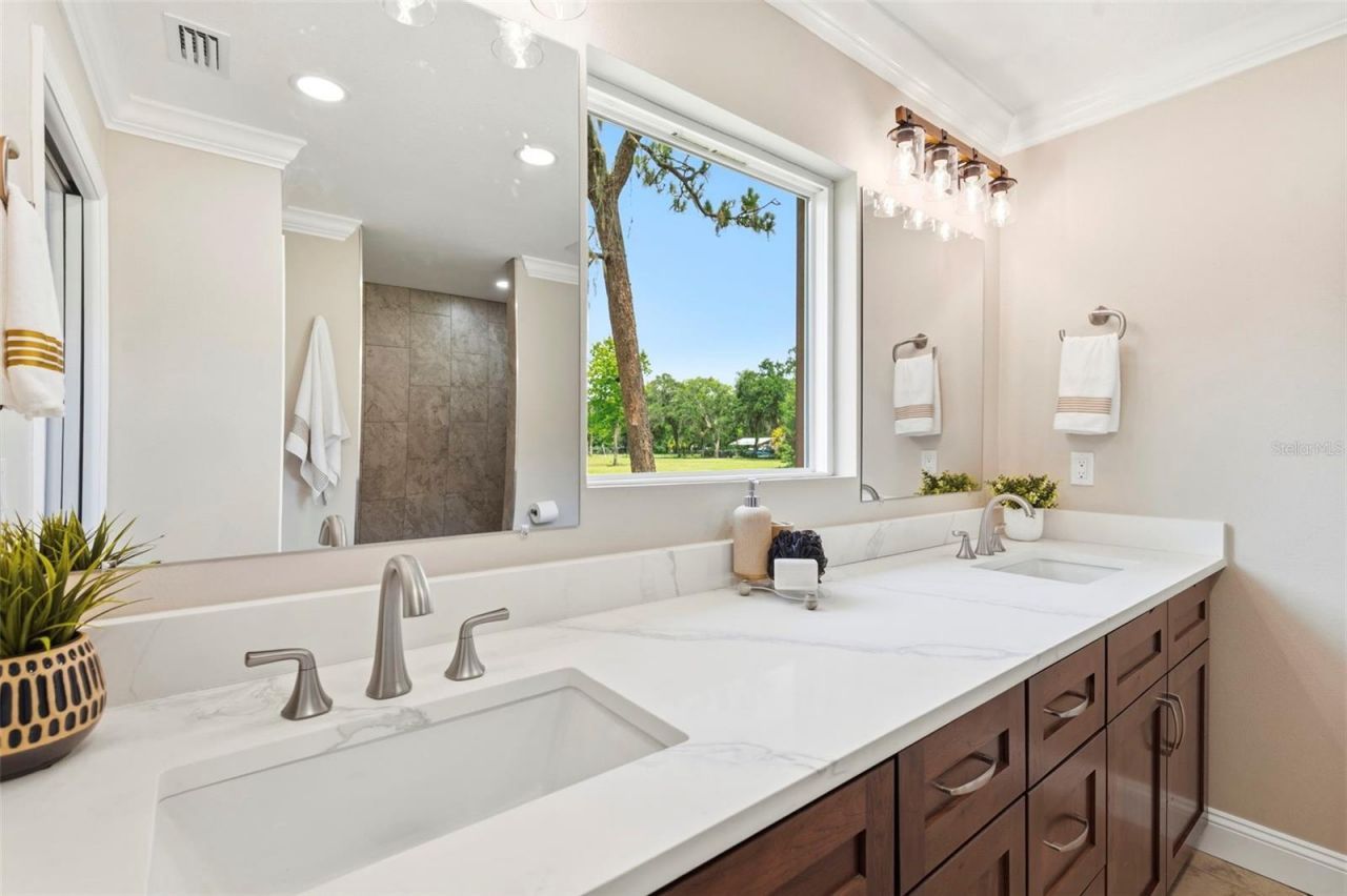 10115 Frierson Lake Drive, Hudson, FL 34669 Photo