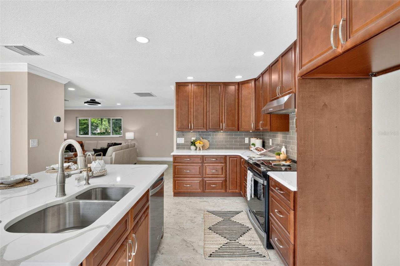 10115 Frierson Lake Drive, Hudson, FL 34669 Photo