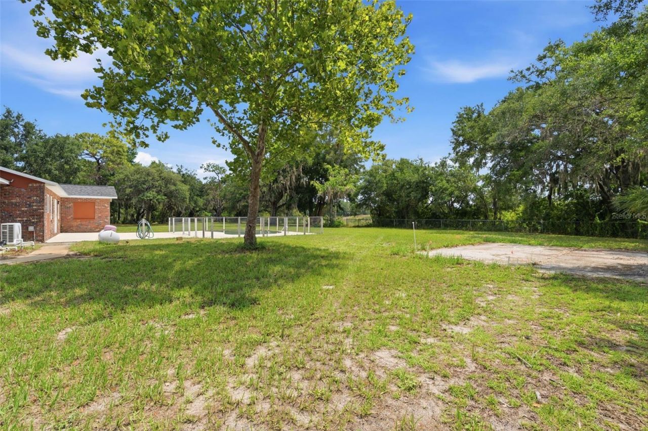 10115 Frierson Lake Drive, Hudson, FL 34669 Photo