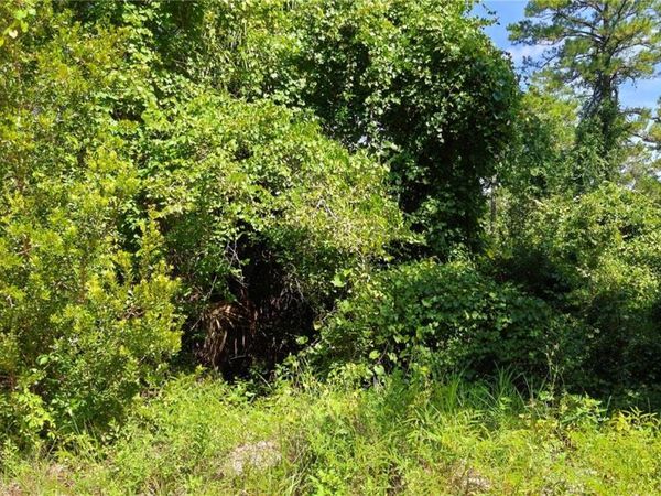 212 N 2ND AVENUE, SATSUMA, FL 32189