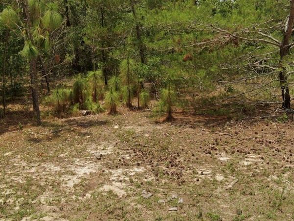 14214 SW 60TH TERRACE , OCALA, FL 34473