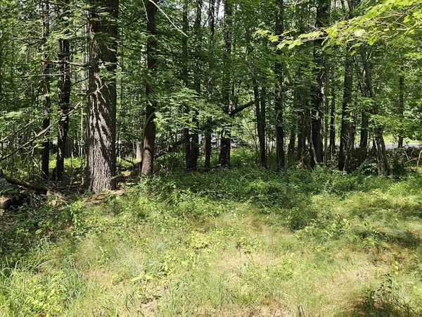 492 Moultonboro Neck Road, Moultonborough, NH 03254