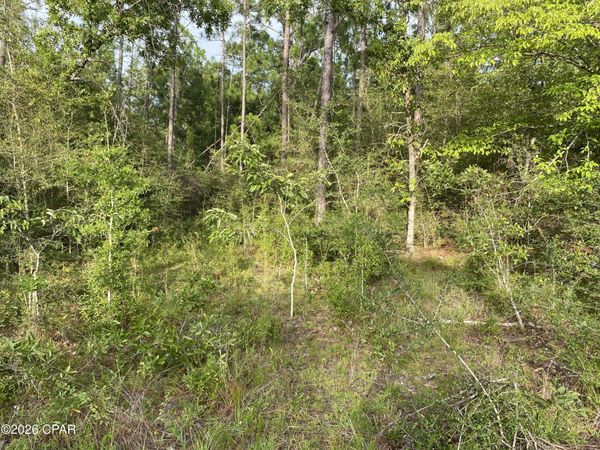 LOT30 Putnam Avenue , Alford, FL 32420