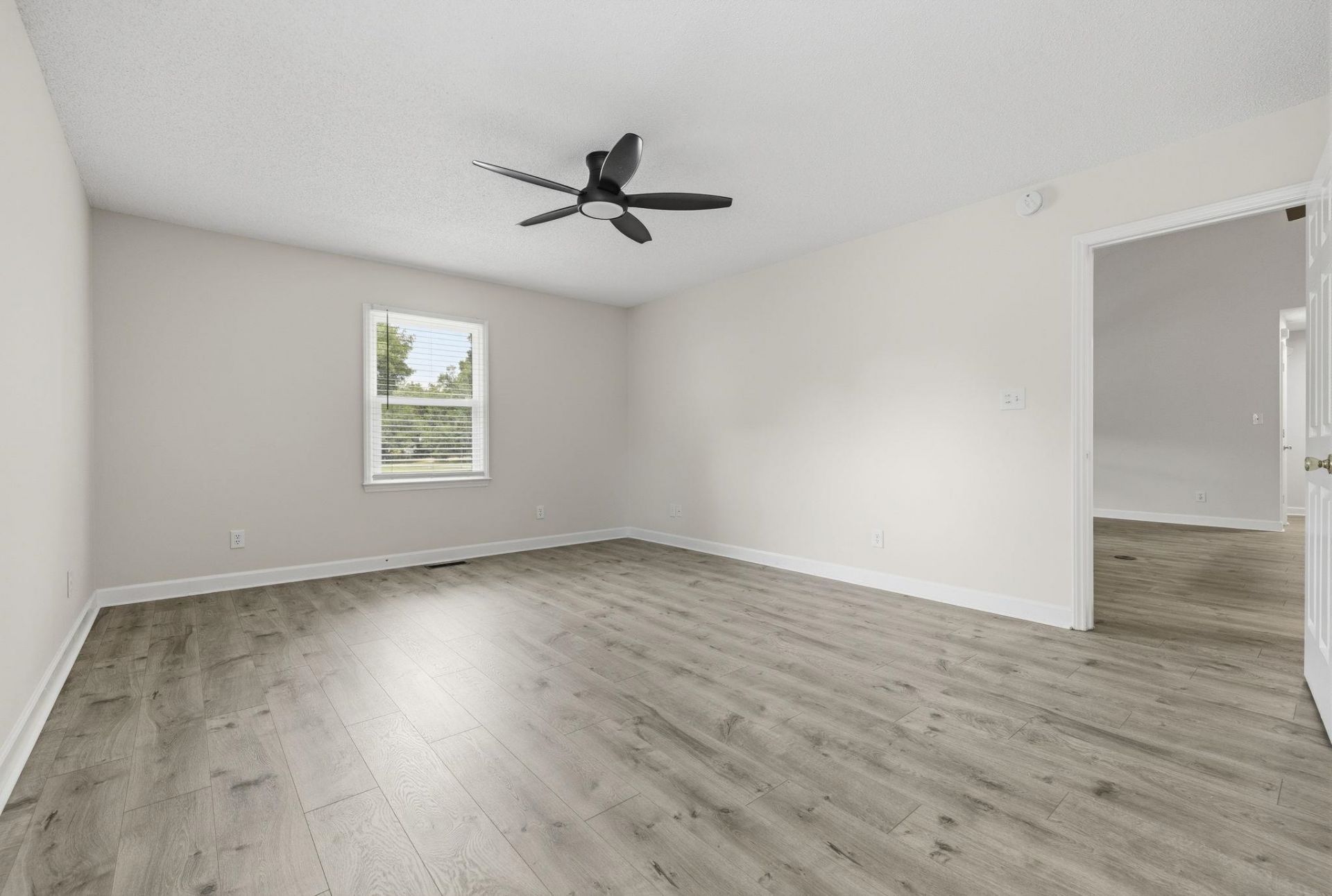 3556 Golden Rod Ct  Photo 12