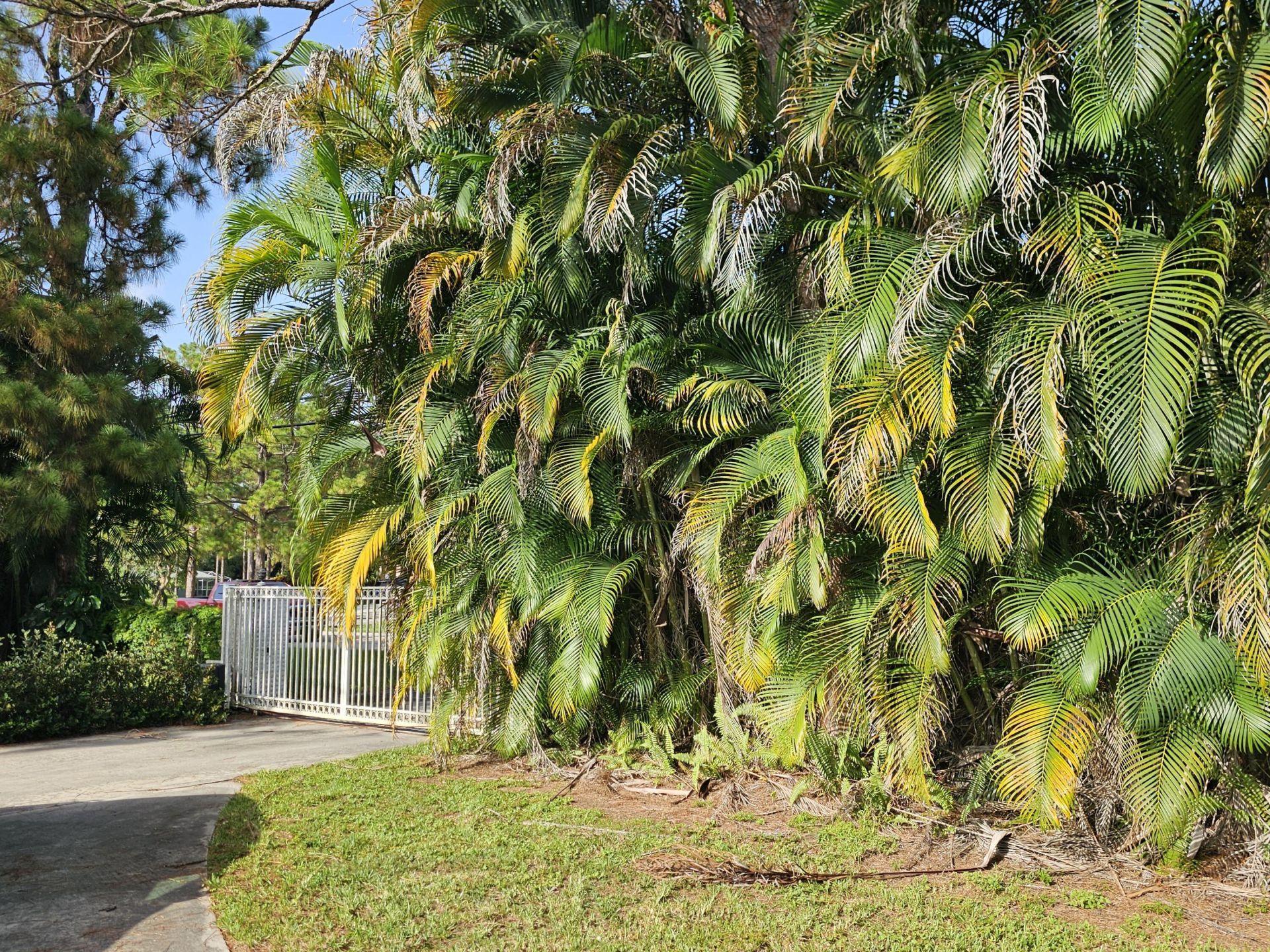 14369 69th Drive N, Palm Beach Gardens, FL 33418 Photo