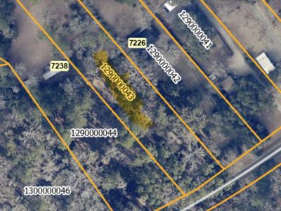 7232 Ethel Post Office Road, Meggett, SC 29449