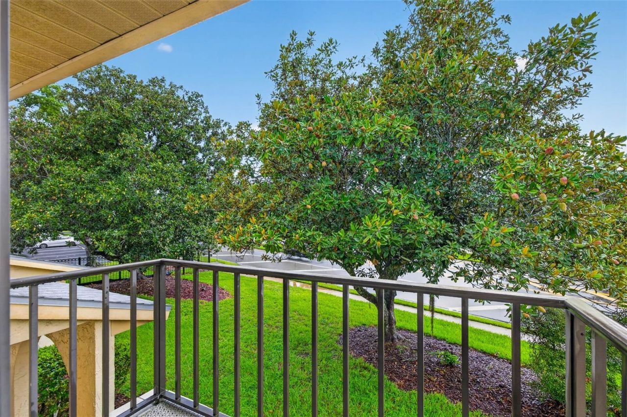 9005 Pebble Creek Drive , Tampa, FL 33647 Photo
