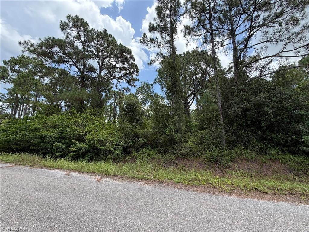 1504 Dixie Ave, Lehigh Acres, FL 33972 Photo