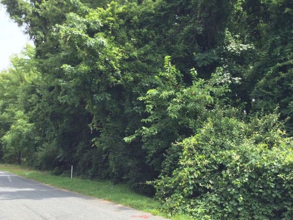 BALTIMORE DRIVE DRIVE , STEVENSVILLE, MD 21666