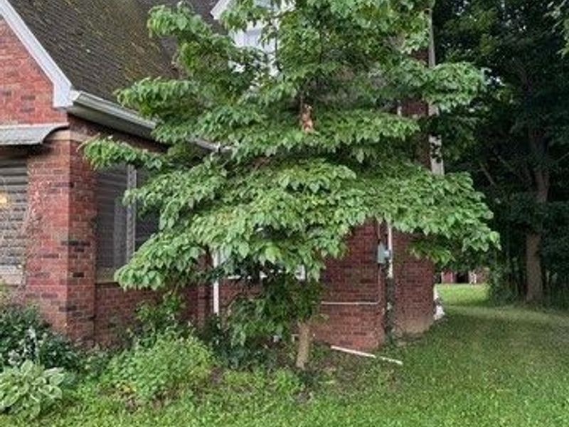 11299 Mahoning Avenue, North Jackson, OH 44451 Photo 31