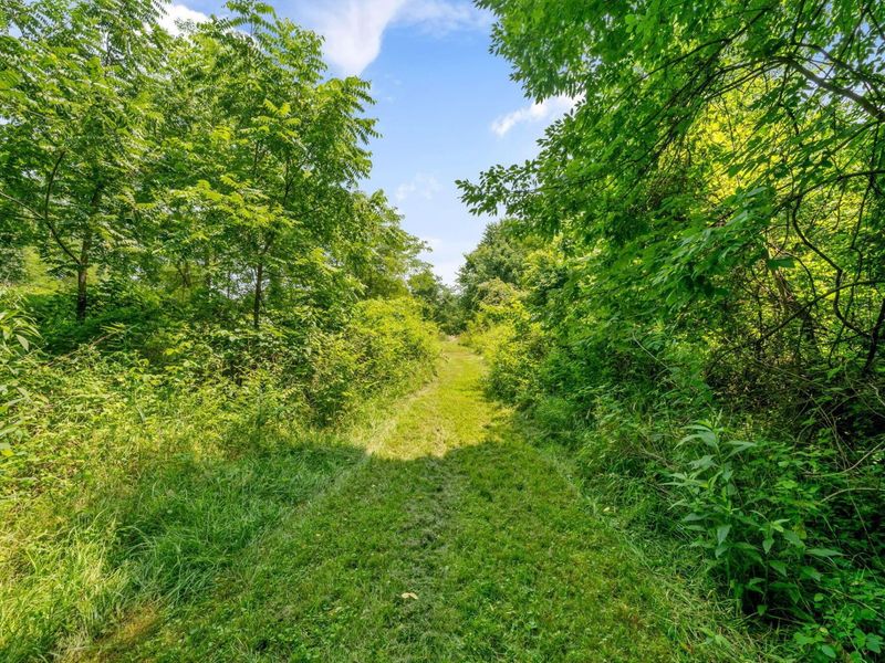 2621 Larimore Road, Mount Vernon, OH 43050 Photo 48