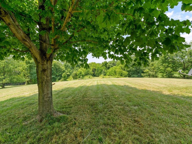 2621 Larimore Road, Mount Vernon, OH 43050 Photo 50